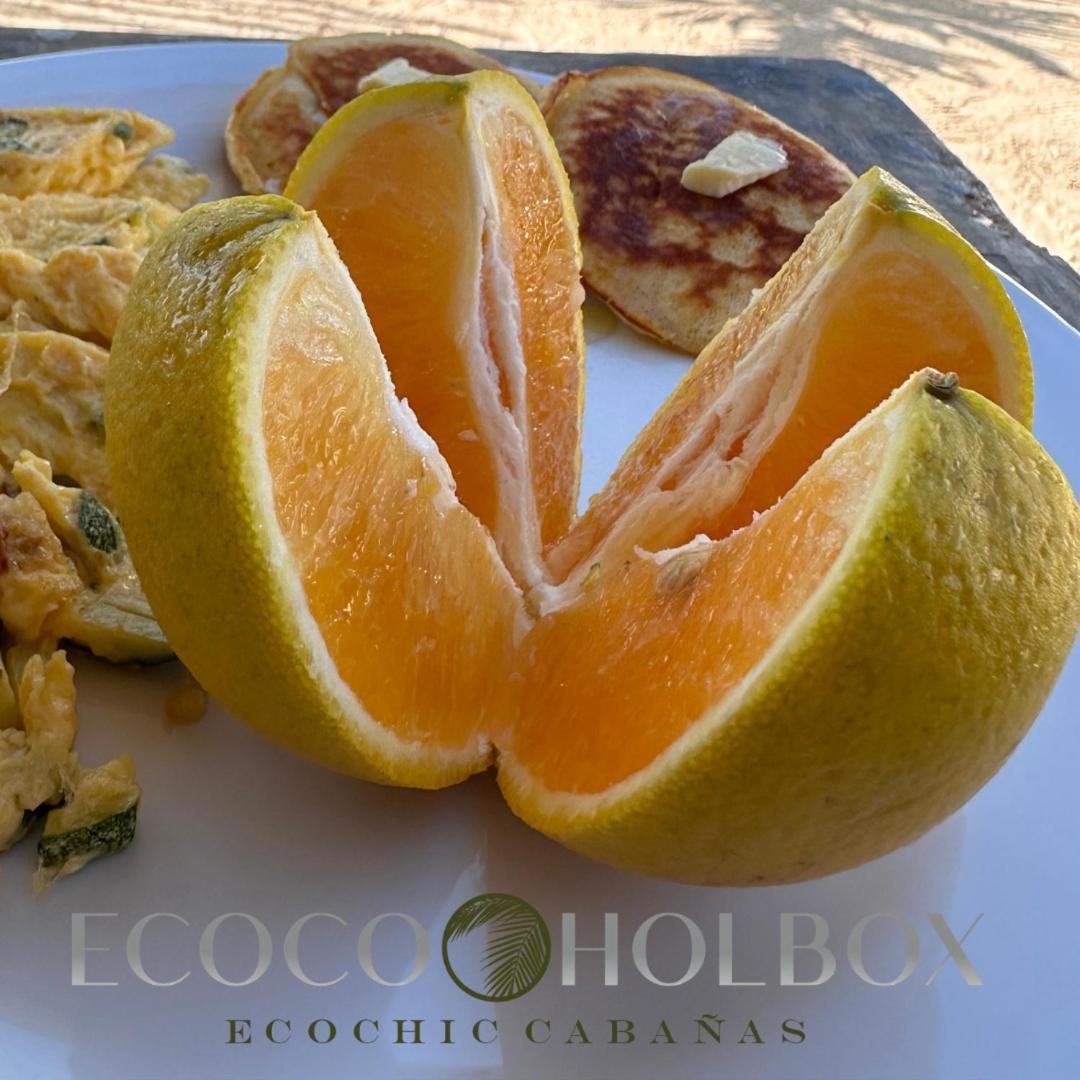 Ecoco Holbox - Ecochic - Cabanas De Madera - Holbox Retreat Luaran gambar